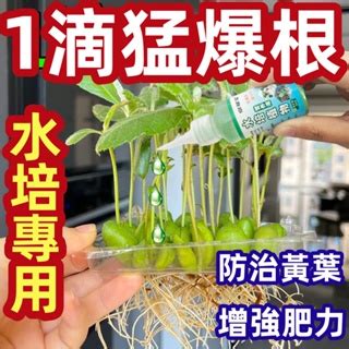 水培營養液|水培植物營養液的完全指南：讓你的植物茁壯成長 – 植物盆栽綠寶典